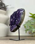 Top Quality Natural Uruguayan Amethyst Statement Piece - MWS3311