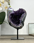 Uruguayan Amethyst Geode with Deep Purple Crystals & Agate Shell - MWS2893
