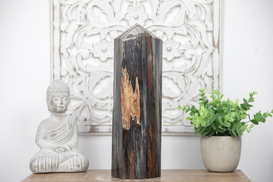 Stunning Large Petrified Wood Obelisk  - STP0042