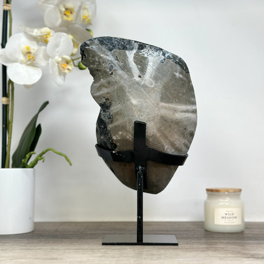 Stunning Natural Amethyst Geode with White Calcite Inclusions - MWS1741