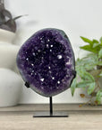 Large Deep Purple Amethyst Specimen - MWS3304