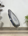 Uruguayan Blue Banded Agate Slice - SLC0023