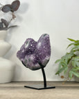 Natural Amethyst Stalactite Formation on Stand - MWS3237