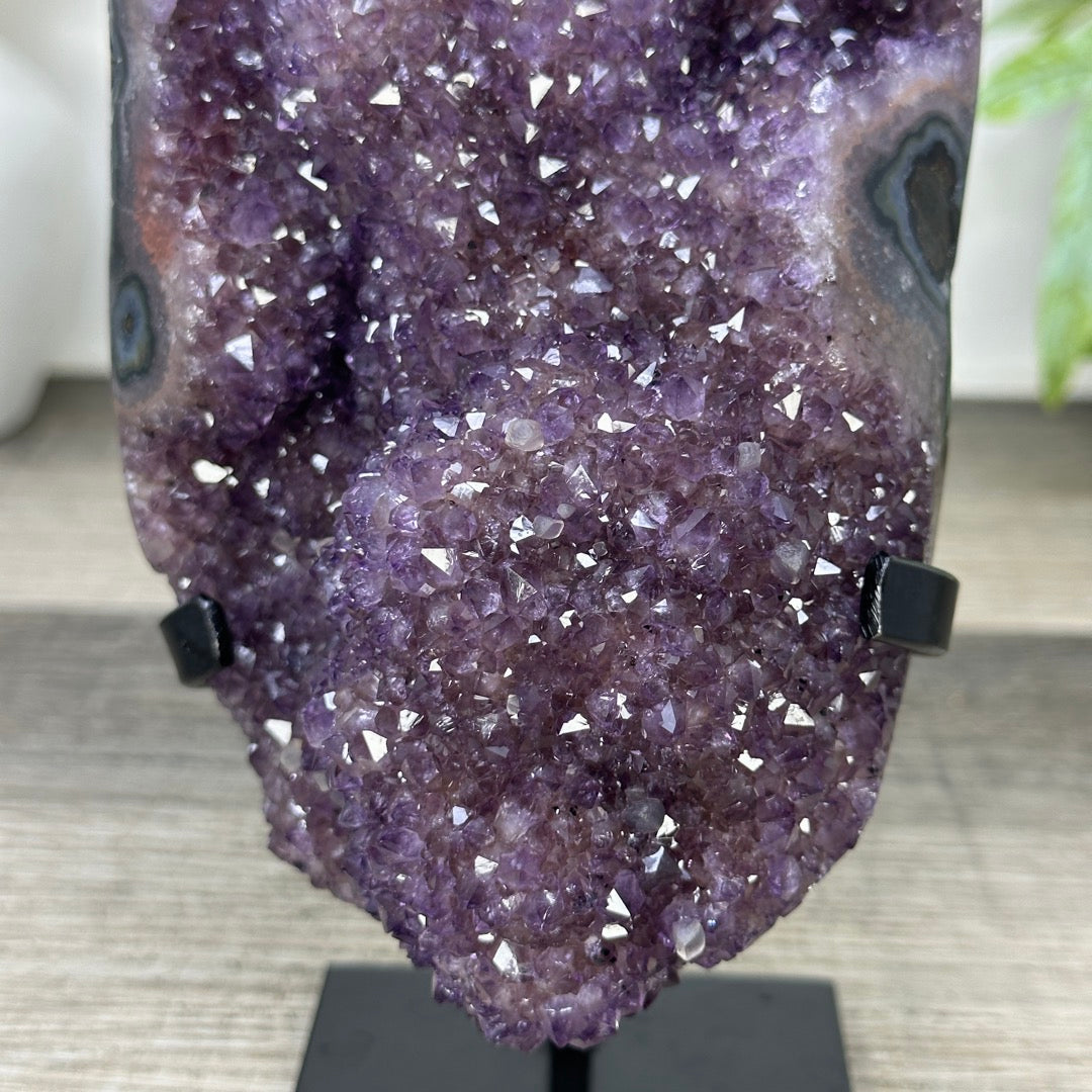 Uruguayan amethyst Geode with Quartz Shell on Stand - MWS3306