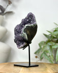 Natural Amethyst with Stalactite Formation & Green Jasper Shell on Stand - MWS3256