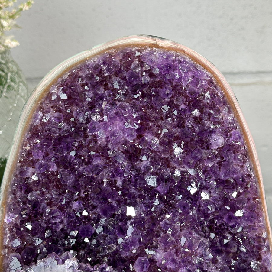 XL Amethyst Cathedral with Rainbow Jasper &amp; Agate Shell - CBP1253