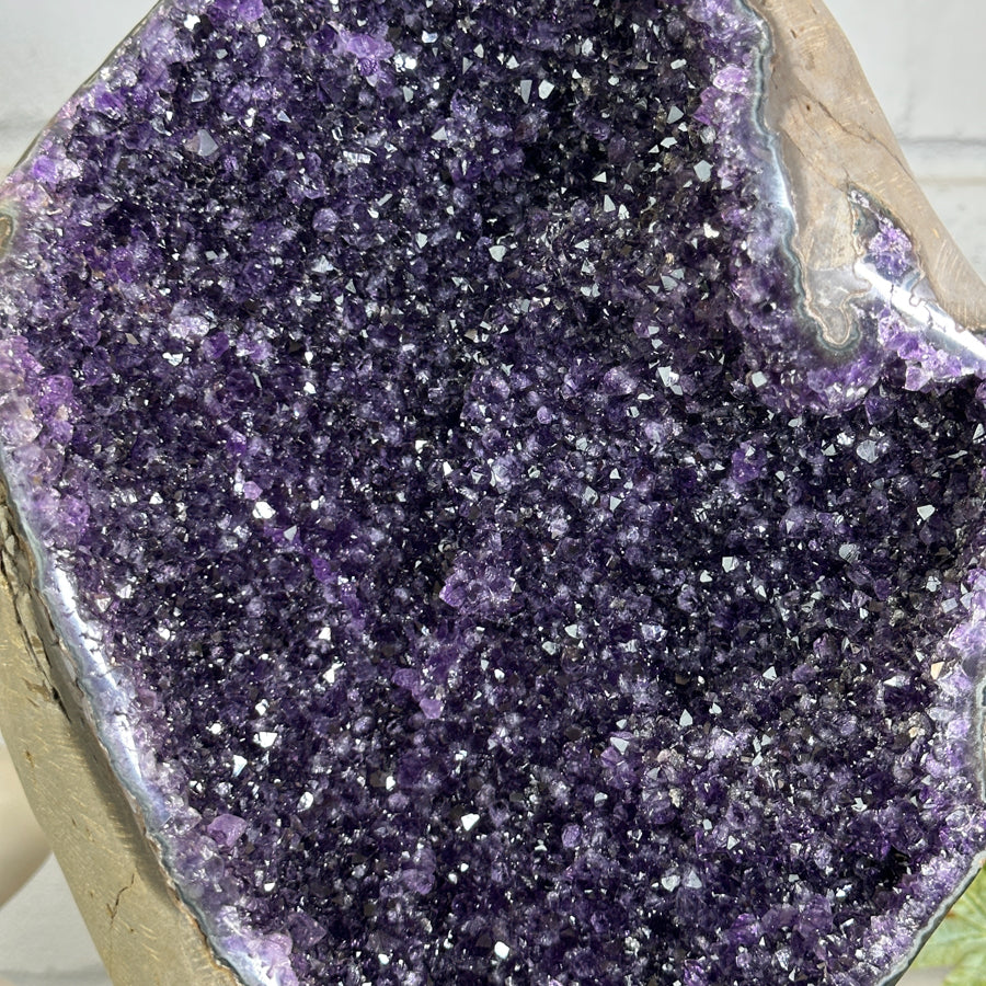 Huge XL Natural Amethyst Geode on Metal Stand - MWS3145