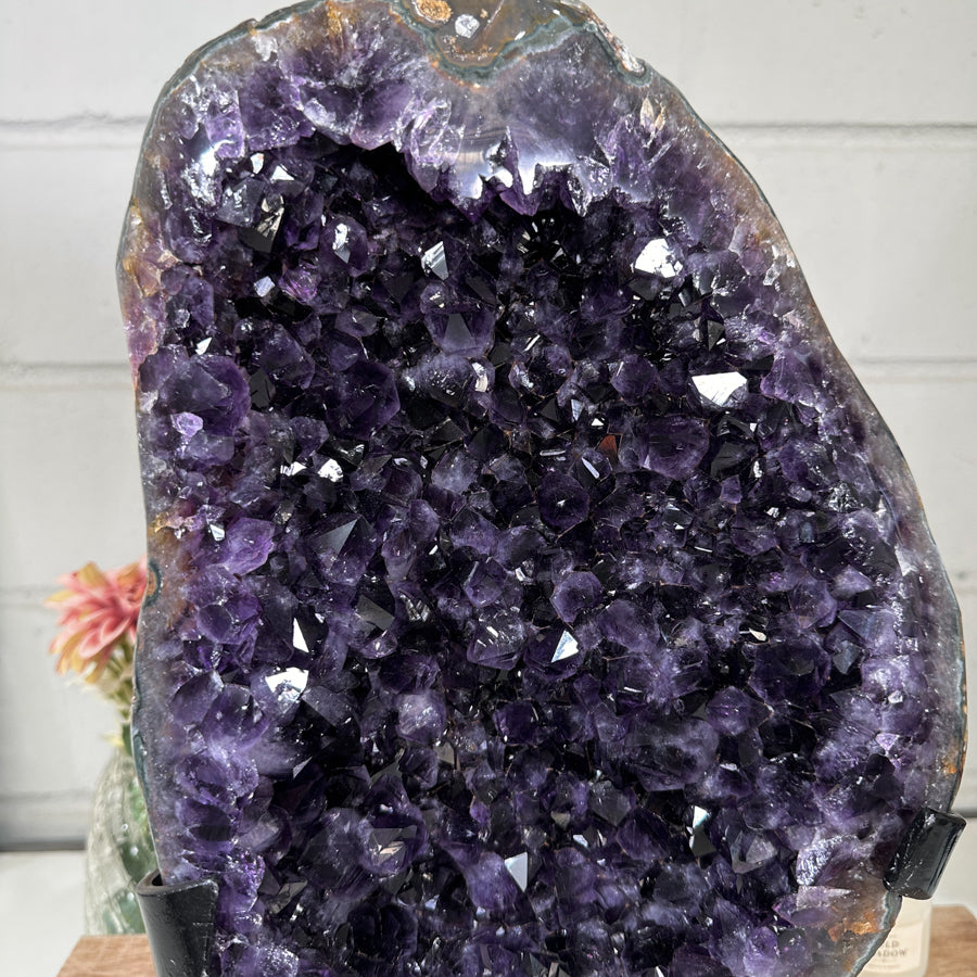 XXL 16,5 in Tall Amethyst Crystal Specimen - MWS2053