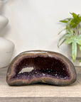 Amethyst Geode with Polished Shell - STGE0099