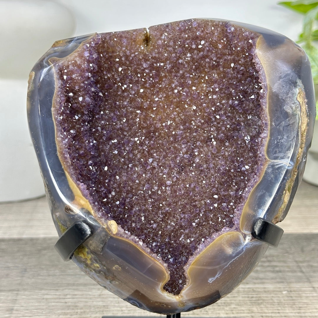 Natural Druzy Amethyst Geode with Agate Shell - MWS3337