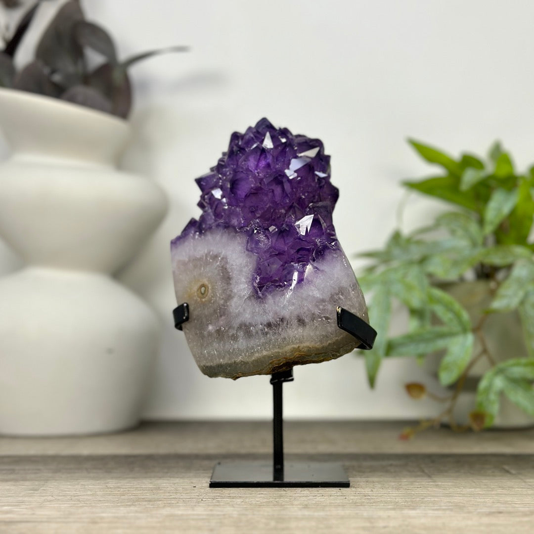 Uruguayan Amethyst Cluster with Large &amp; Shinny Crystals - MWS3308