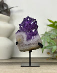 Uruguayan Amethyst Cluster with Large & Shinny Crystals - MWS3308