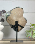 Top Quality Natural Amethyst Crystal Cluster with Green Jasper - Stand Included - MWS3153