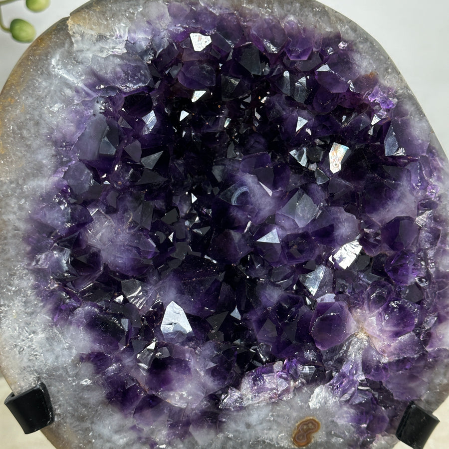 Natural Large Amethyst Geode with Deep Color - MWS2042