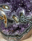 Natural Amethyst Cut BAse Cathedral with Stalactite Eye Formation - CBP1126