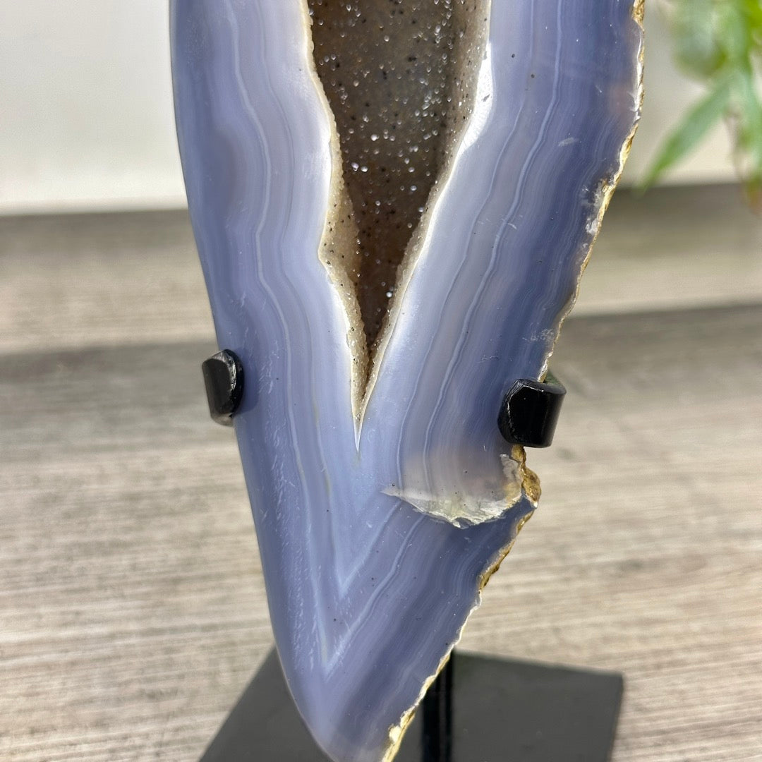 Blue Banded Agate Geode with Quartz Druzy interior - MWS3336