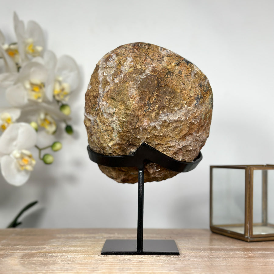 Natural Amethyst Geode with Large &amp; Shinny Crystals - MWS1835