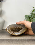 Yellow Sugar Druzy Quartz Geode - STGE0060