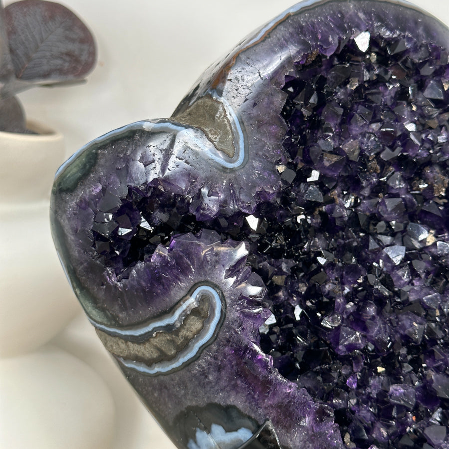 Natural Top Quality Amethyst Geode with Blue Abate Shell - MWS3073