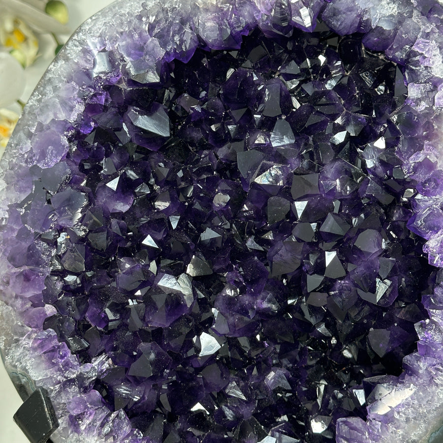 Huge Natural Amethyst Geode with Large Deep Purple Crystals - MWS2745