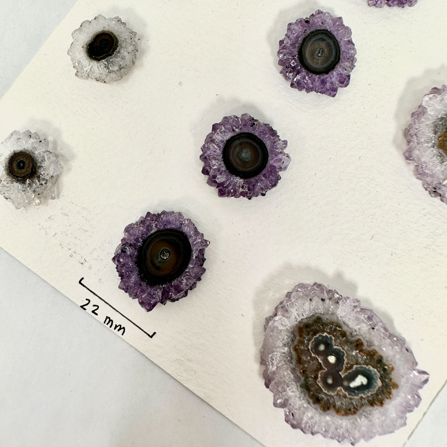 Amethyst Stalactite Slices Wholesale Flat - Ideal for Pendants - STS0055