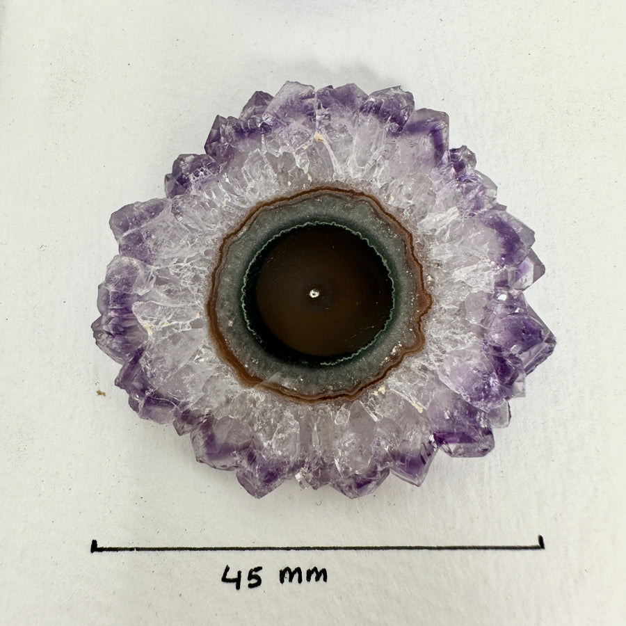 Unique Amethyst Stalactite Slices Set - Natural Crystal for Handmade Jewelry - STS0047
