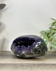 A+ GRade Amethyst Geode from Uruguay - STGE0069