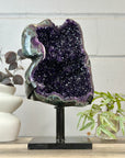 Top Quality Natural Amethyt Geode Statemen Piece - MWS3146