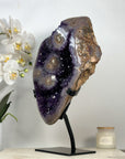 Huge 17 in tall Premium Amethyst Specimen - MWS2050