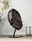 Unique Large Natural Galaxy Quartz Geode with Stalactite Formations - MWS2028