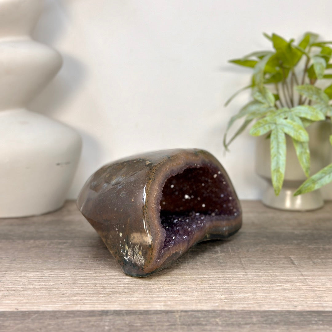 Amethyst Geode with Polished Shell - STGE0099