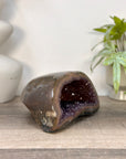 Amethyst Geode with Polished Shell - STGE0099