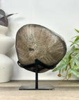 Large Uruguayan Amethyst Crystal for Home Decor - MWS3299