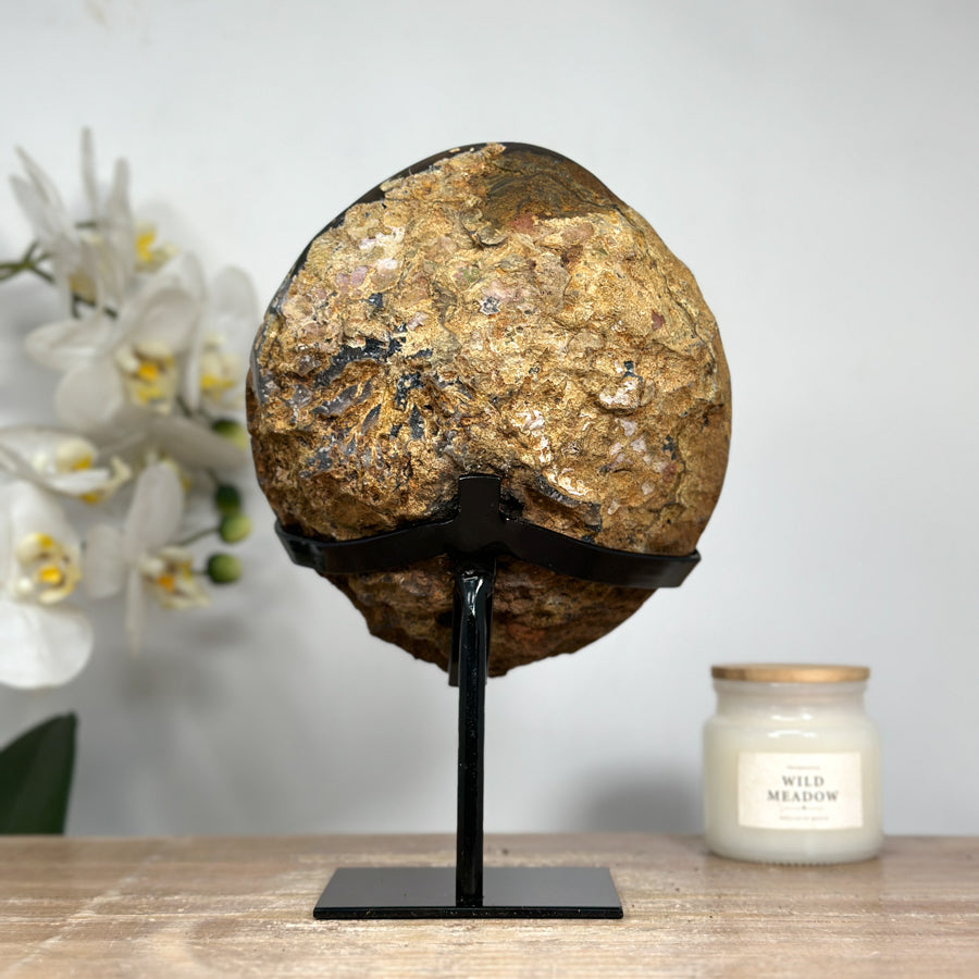 Exquisite Natural Amethyst GEode Full of Stalactites Eyes - MWS1524