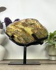 Unqiue Collection Grade Amethyst & Jasper Stalactite Formation - MWS3399