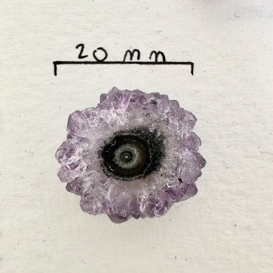 Genuine Amethyst &amp; Agate Stalactite Slices Flat - Perfect for Crafting Unique Jewelry - STS0062