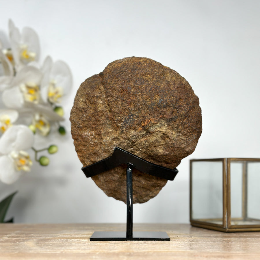 Natural Sugar Druzy Quartz Geode with Stand - MWS1899