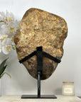 Huge 17 in tall Premium Amethyst Specimen - MWS2050