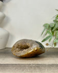 Yellow Sugar Druzy Quartz Geode - STGE0060
