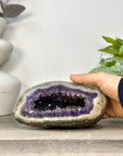 Uruguayan Amethyst Geode with Polished Shell - STGE0120