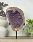 Stunning Large Natural Amethyst on Stand - MWS3325