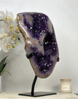 Huge 17 in tall Premium Amethyst Specimen - MWS2050