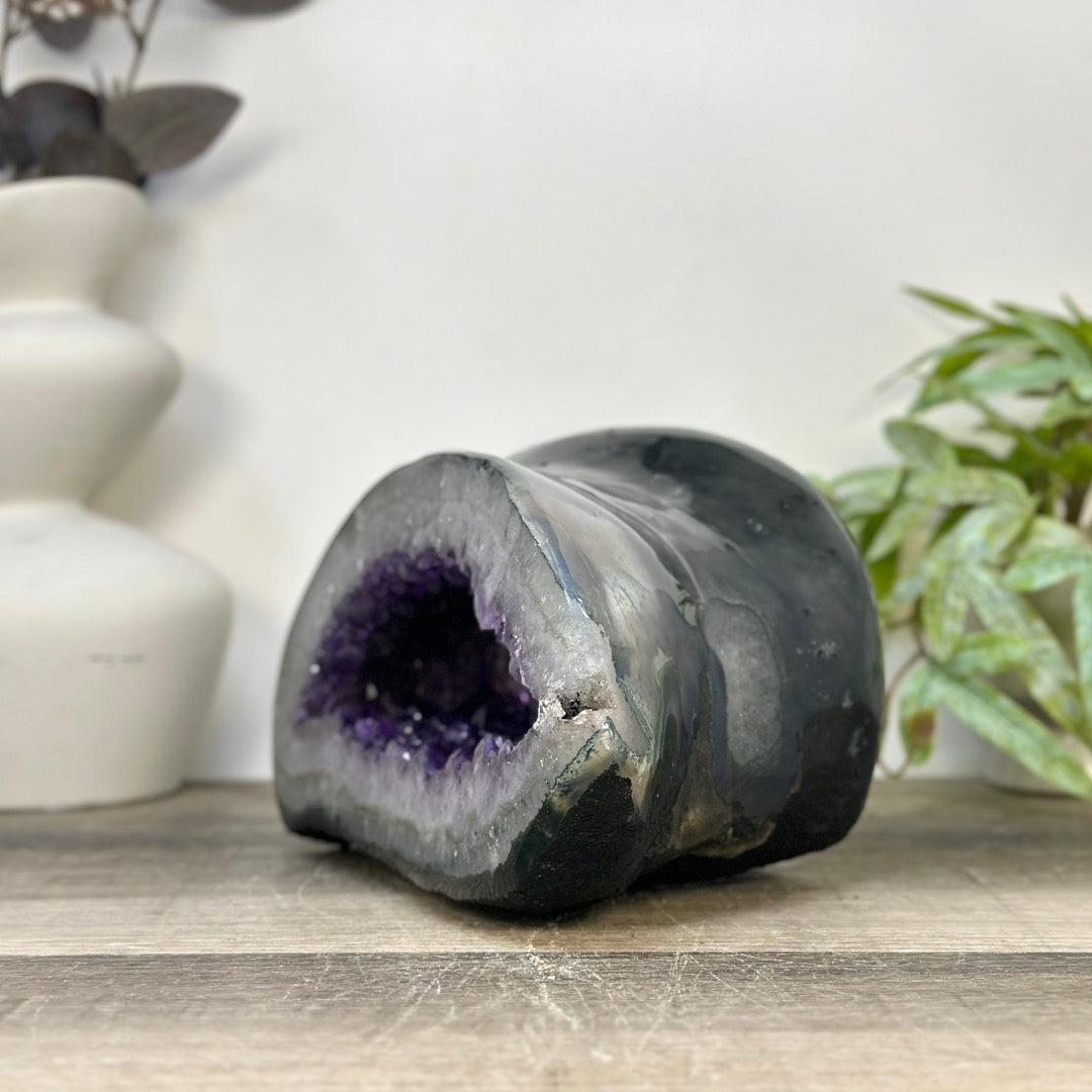 Xl Natural Amethyst Geode with Agate Shell - STGE0072