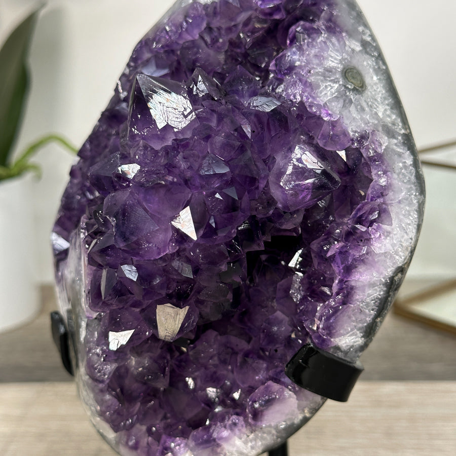 Amethyst Crystal Cluster Geode with Quartz Shell - MWS2636