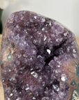 Uruguayan Amethyst Geode with Jasper Shell - CBP1143
