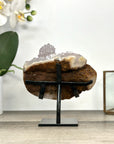 Quartz Cluster on Stand with Stalactite Formations – Unique Natural Display Piece - MWS2887