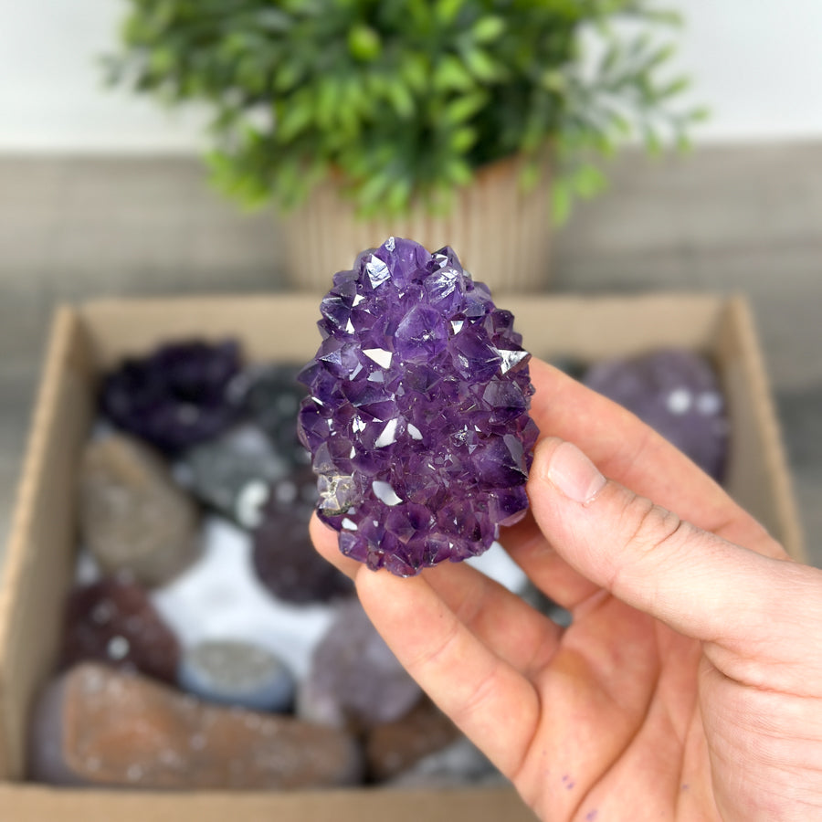 Mineral Specimens Lot - MSLT0107