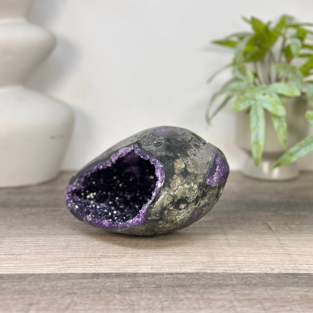Uruguayan Amethyst Geode with Polished Shell - STGE0090