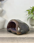 Natural Amethyst Geode with Agate Shell - STGE0112
