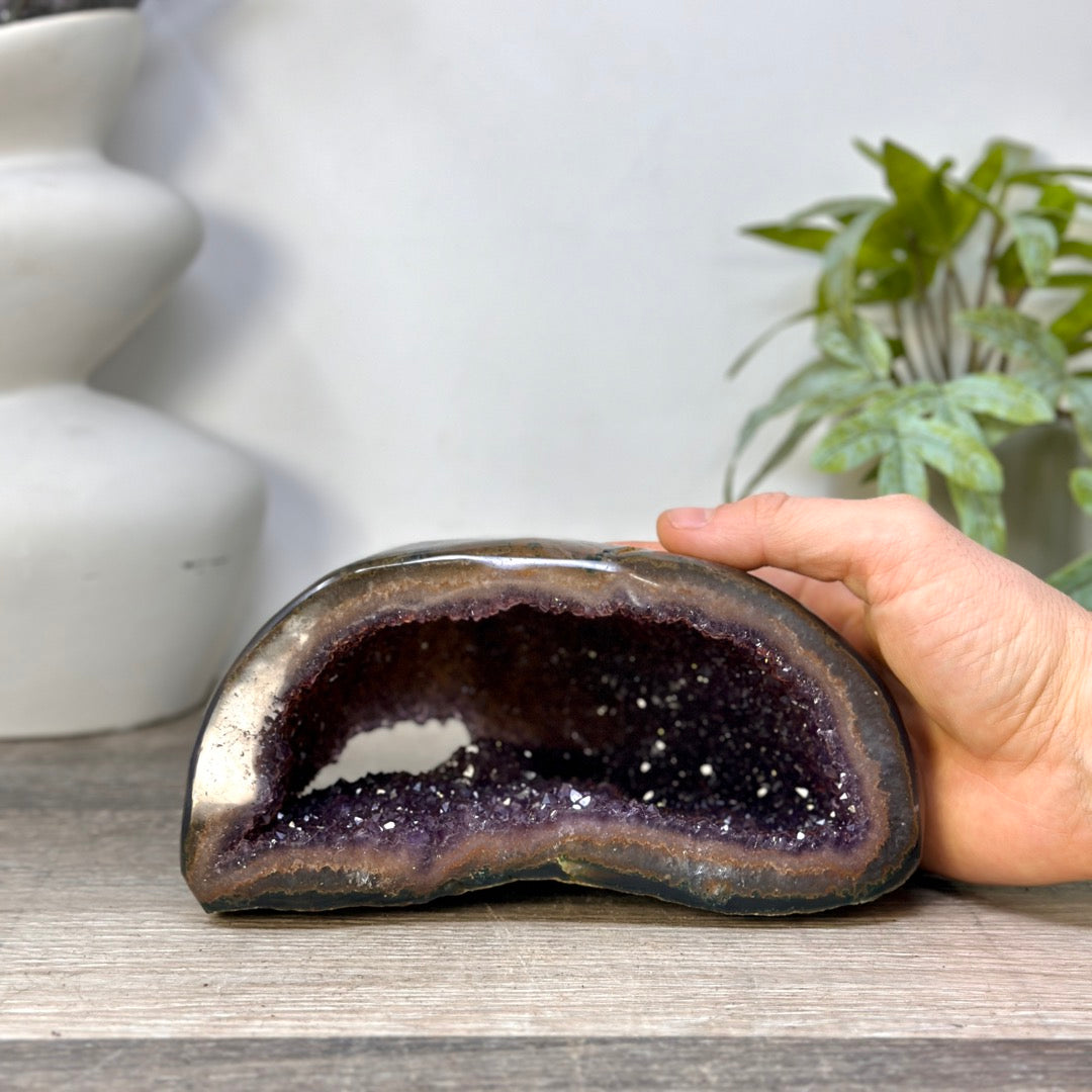Amethyst Geode with Polished Shell - STGE0099